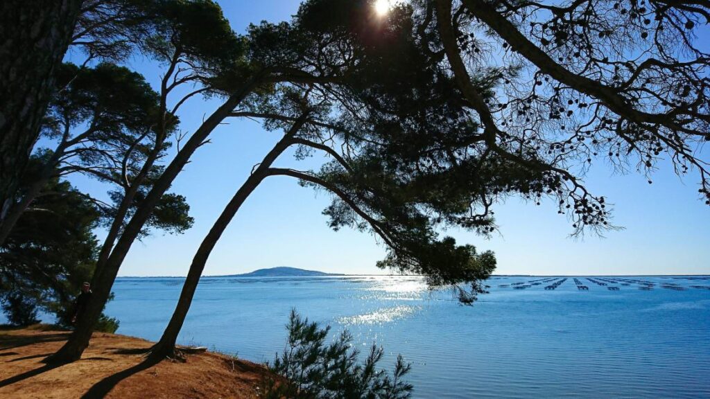 etang de thau balade a velo